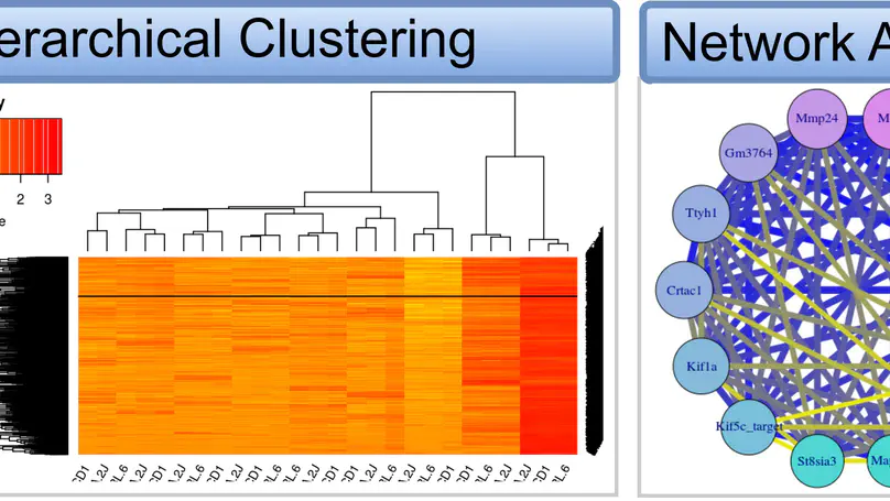 Large-scale data mining