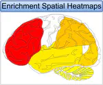 Spatial enrichment